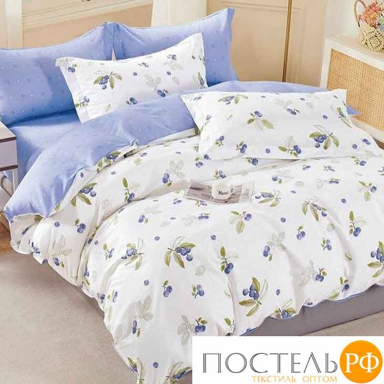 BP-161 КПБ евро СайлиД
