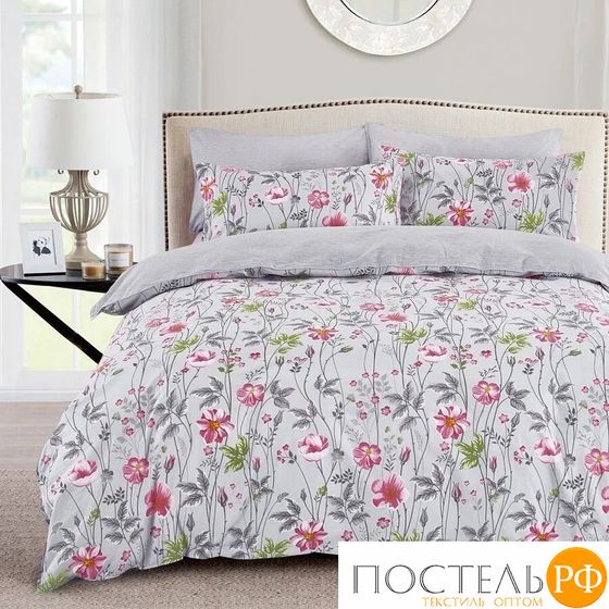 КПБ Cleo Поплин &quot;Pure Cotton&quot; дуэт 145*215*2 220*240*1(±5) 50*70*2(±2) 70*70*2(±2) в ПВХ 41/411-PC