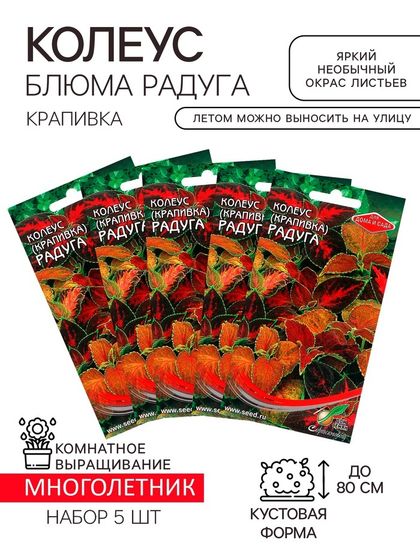 Семена комнатных цветов Колеус &quot;Блюма Радуга&quot;, набор 5 шт