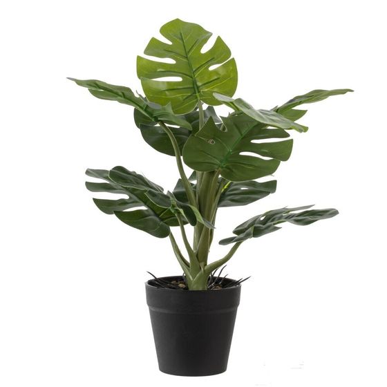 Цветочная композиция, L25 W25 H30 см, 5в.