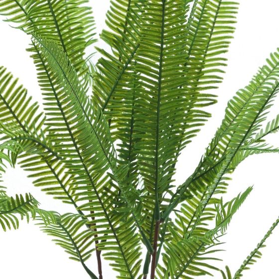 Цветочная композиция &quot;Папоротник&quot;, L11 W11 H59 см