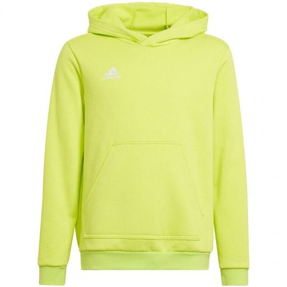 Sweatshirt adidas Entrada 22 Hoody Jr HC5069