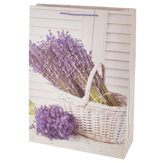 Пакет подарочный (бумага 210г/м2, блок микс 12шт), L40 W15 H55 см, 2в.