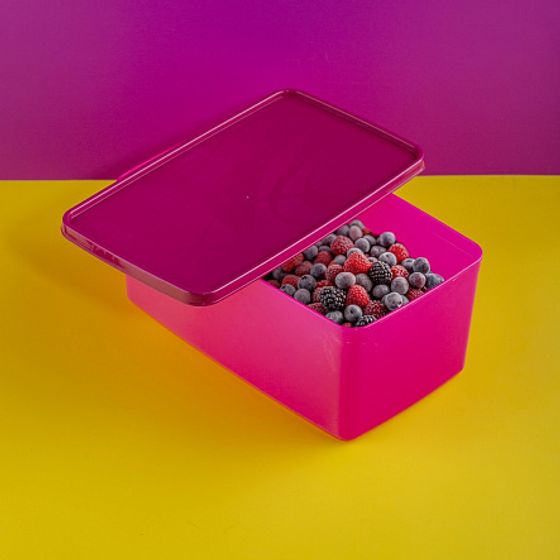 Контейнер для заморозки ALASKA 3.5л фуксия