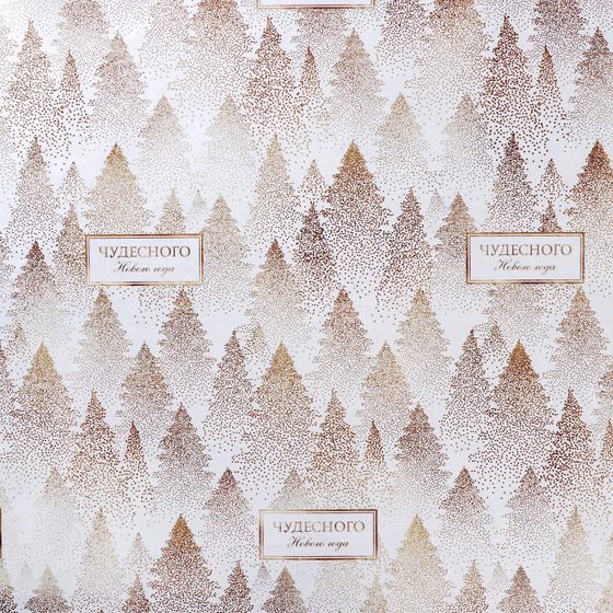 !09 Упаковочная бумага 2 листа глянцевая двусторонняя «Чудесного Нового года», 70 х 100 см.