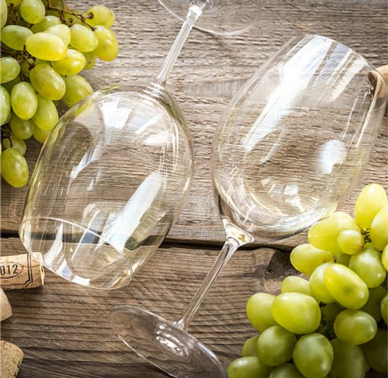 Набор бокалов для вина VIOLA 6шт 450мл