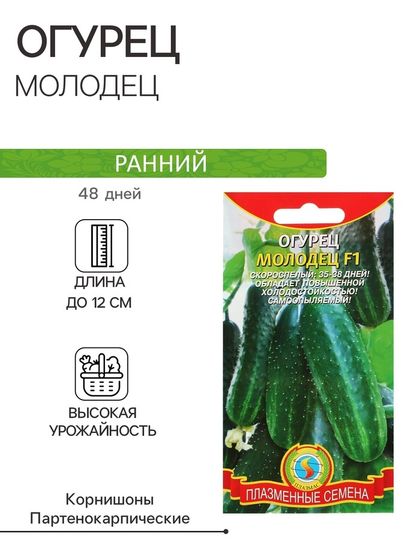 Семена Огурец &quot;Молодец&quot;, F1, 6 шт