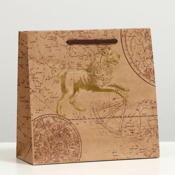 !09 Набор 3 штуки - Пакет подарочный "Гороскоп", крафт, 22.5 x 23 x 10 см