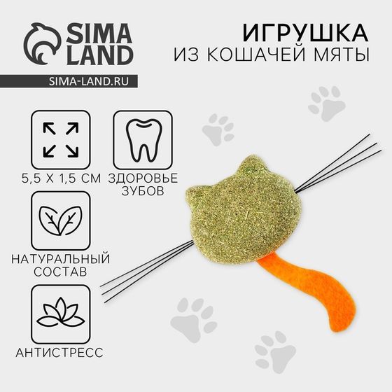 Игрушка для кошек «Кошачья мордочка» из кошачьей мяты, 5,5 х 1,5 см