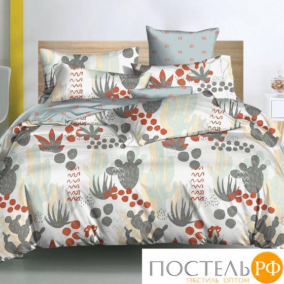 31/219-PC/CL КПБ CL HOME Поплин &quot;Pure Cotton&quot; евро 200*220*1 220*240*1(±5) 50*70*2(±2) 70*70*2(±2) в ПВХ