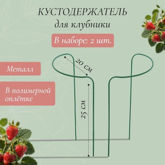 Кустодержатель для клубники, d = 20 см, h = 25 см, ножка d = 0,3 см, металл, зелёный