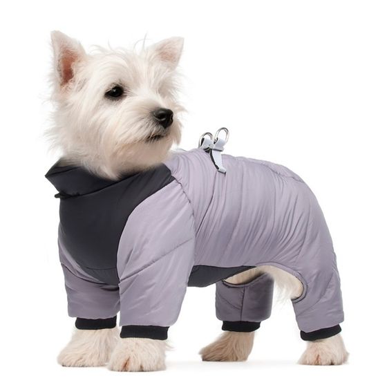 Комбинезон &quot;Тренд&quot;, оксфорд, 2XL (ДС 43, ОШ 41, ОГ 53 см, вес 16-20 кг), серый