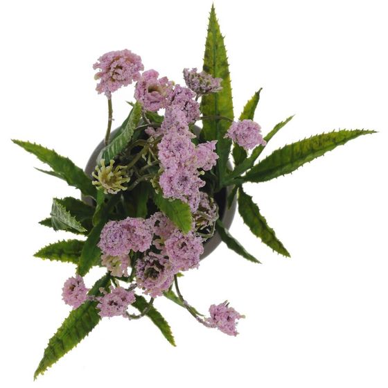 Цветочная композиция, L9 W9 H18 см, 5в.