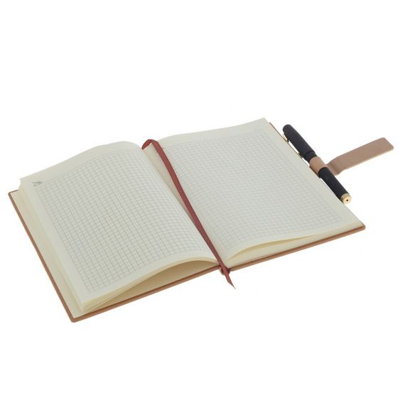 Набор из блокнота и ручки, Д19,5 Ш24,5 В4 см