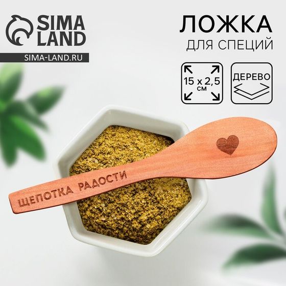 Ложка для специй Дорого внимание «Щепотка радости», дерево, 13 см