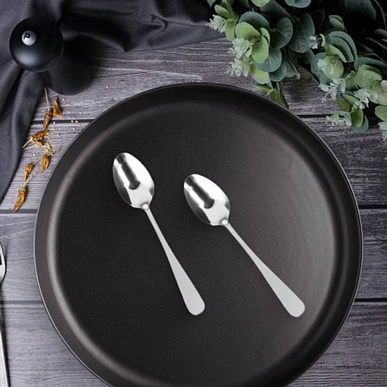 Ложка чайная NORDIC 2шт