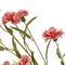 Цветок искусственный "Гвоздика", L14 W14 H72 см