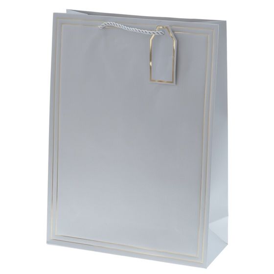 Пакет подарочный (бумага 210г/м2, блок 12шт), L31 W12 H42 см, 10в.