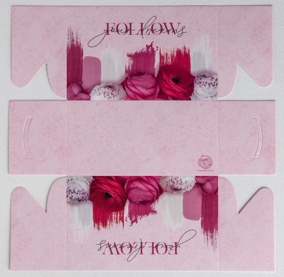 !09 Коробка (набор 5 штук) на 2 капкейка &quot;Follow your dreams&quot; 16 × 8 × 10 см.