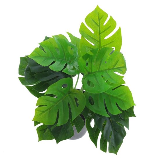 Цветочная композиция &quot;Монстера&quot;, L33 W33 H35 см