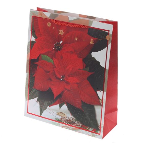 Пакет подарочный (бумага 210г/м2, блок 12шт), L26 W10 H32 см, 4в.