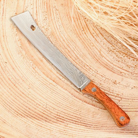 Нож-мачете сувенирный &quot;Дамаск&quot;, 12,5см, клинок 81мм/2мм