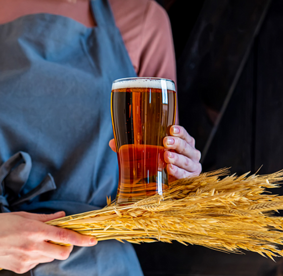 Стакан для пива ТЮЛИП Чирз 570мл