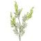 Ветка искусственная &quot;Мимоза&quot;, L34 W4 H82 см