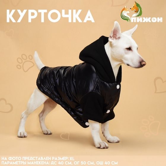 Куртка для собак &quot;Спорт&quot; с капюшоном, размер ХL , чёрная