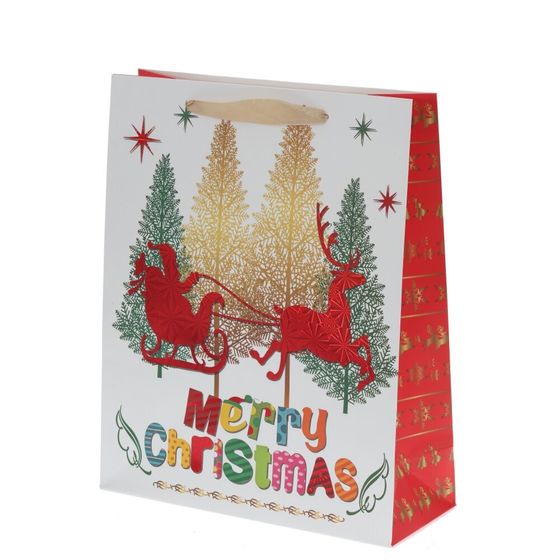 Пакет подарочный (бумага 210г/м2, блок 12шт), L26 W10 H32 см, 4в.