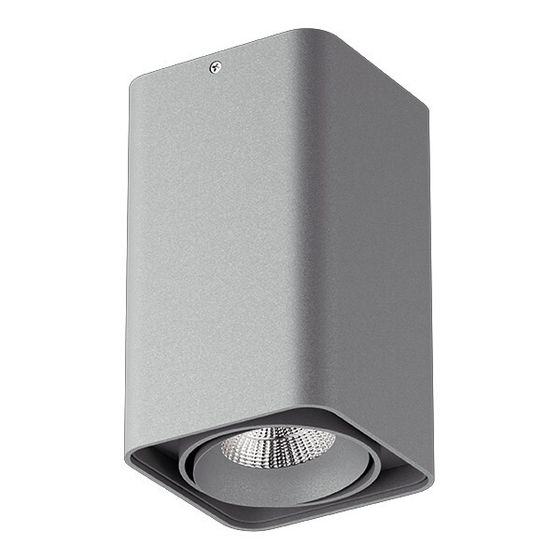 052139-IP65 Светильник MONOCCO LED10W 600LM 30G СЕРЫЙ 4000K