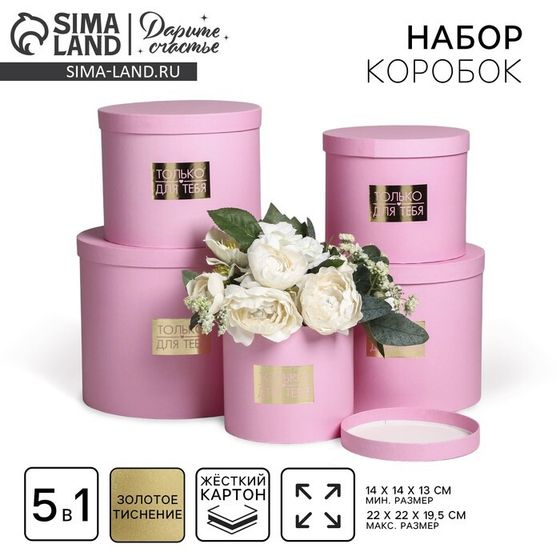 Набор шляпных коробок для цветов 5 в 1, упаковка подарочная, «Нежность», 14 х 14 х 13 см - 22 х 22 х 19.5 см