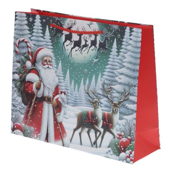 Пакет подарочный (бумага 210г/м2, блок 12шт), L18 W10 H23 см, 4в.