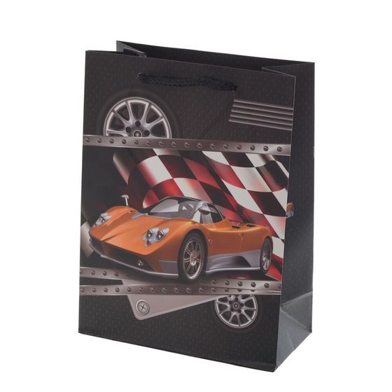 Пакет подарочный (бумага 210г/м2, блок микс 12шт), L18 W8,5 H24 см, 4в.