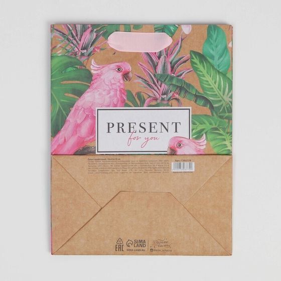 !09 Пакет крафтовый (набор 3 штуки) вертикальный Present for you, MS 18 × 23 × 8 см.