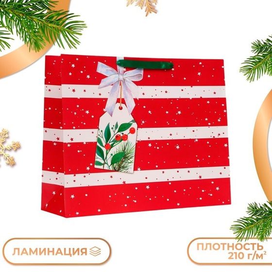 Пакет подарочный &quot;Звёздочки&quot;, 50 х 40 х 15 см.