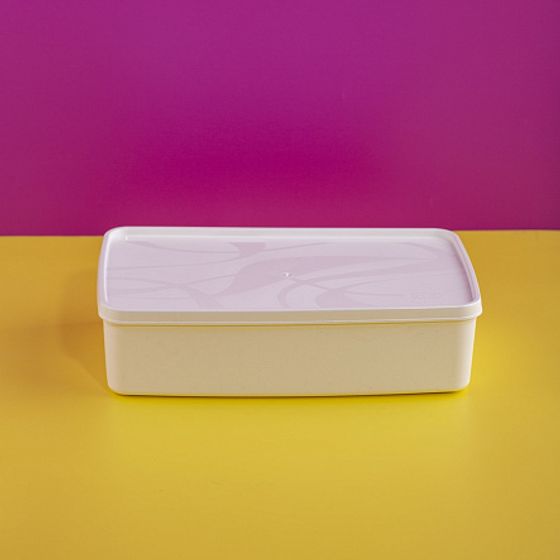 Контейнер для заморозки ALASKA 2.1л белый