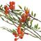 Ветка искусственная "Рябина", L13 W13 H84 см