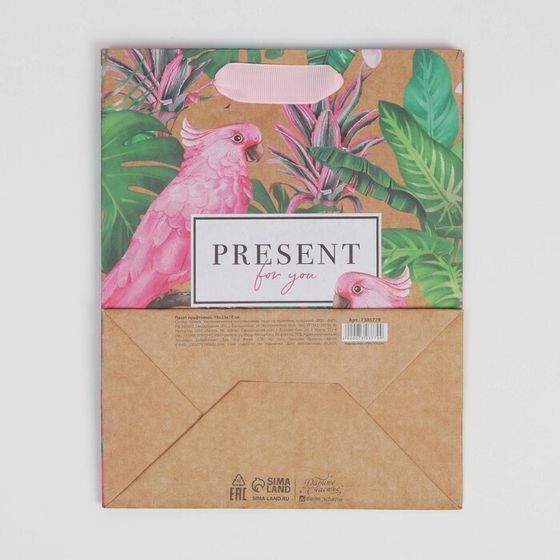 !Пакет крафтовый 2 штуки вертикальный Present for you, MS 18 × 23 × 8 см.