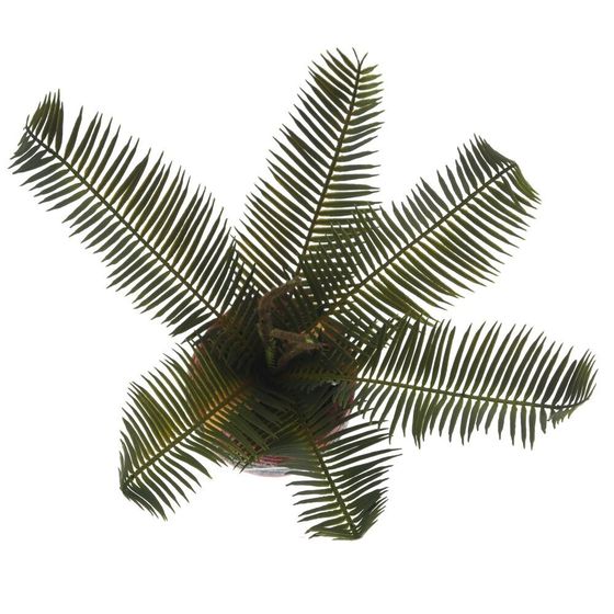 Цветочная композиция &quot;Пальма&quot;, L27 W23 H34 см, 3в.