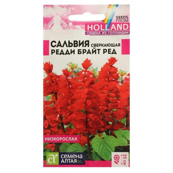 Семена цветов Сальвия &quot;Редди Брайт&quot;, ред, сверкающая, Сем. Алт, ц/п, 5 шт