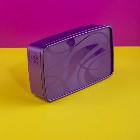 Контейнер для заморозки ALASKA 2.1л фиолетовый