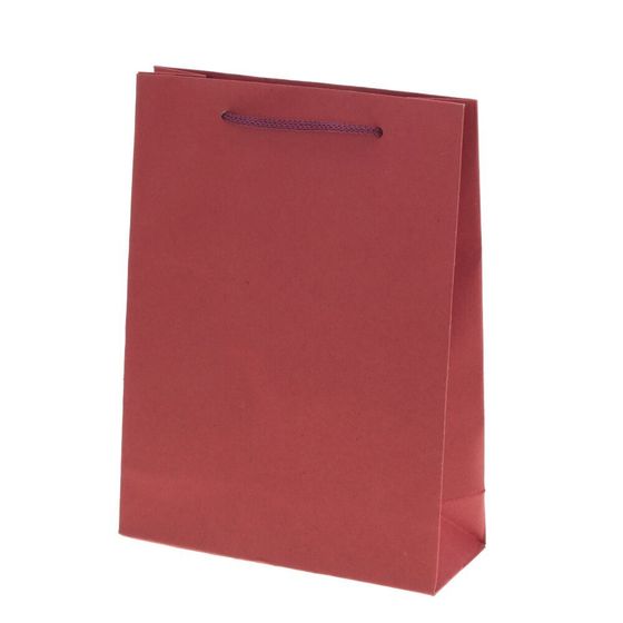 Пакет подарочный (бумага 210г/м2, блок 12шт), L15 W6 H20 см, 4в.