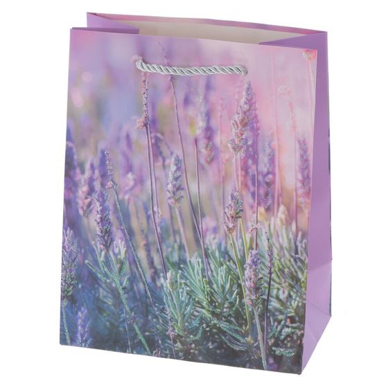 Пакет подарочный (бумага 210г/м2, блок 12шт), L18 W10 H23 см, 4в.