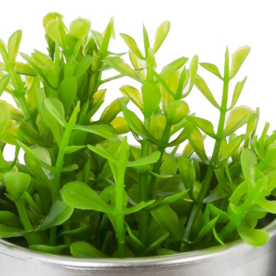 Цветочная композиция, L8,5 W8,5 H19 см, 2в.