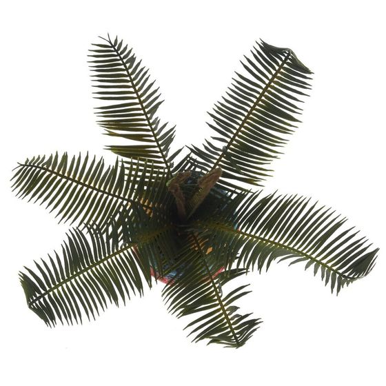 Цветочная композиция &quot;Пальма&quot;, L27 W23 H34 см, 3в.