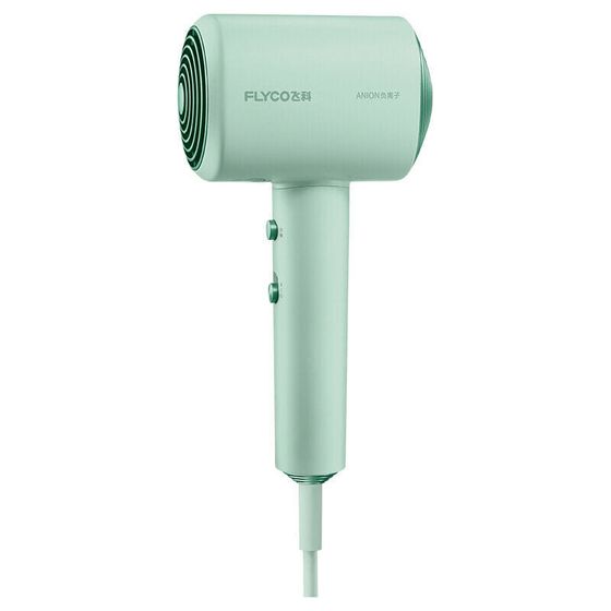 FLYCO Electric Hair Dryer Negative Ion Hair Care Multiplier Hair Care