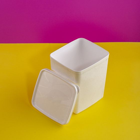 Контейнер для заморозки ALASKA 2л белый