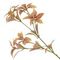 Ветка искусственная, L13 W13 H75 см