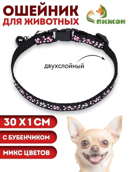 Ошейник двухслойный с фастексом &quot;Звездные косточки&quot;, 30 х 1 см, микс цветов